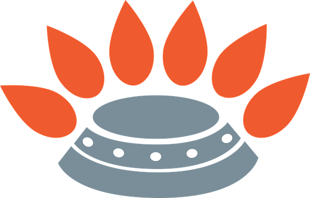 Botijão de Gás: Onde Comprar e suas Características